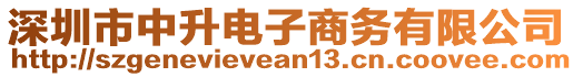 深圳市中升電子商務有限公司