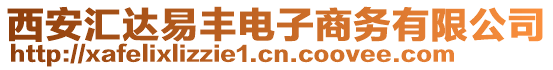 西安匯達(dá)易豐電子商務(wù)有限公司