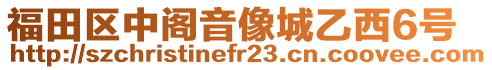 福田區(qū)中閣音像城乙西6號