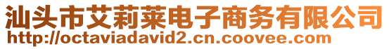 汕頭市艾莉萊電子商務(wù)有限公司