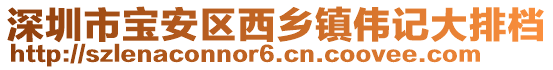 深圳市寶安區(qū)西鄉(xiāng)鎮(zhèn)偉記大排檔