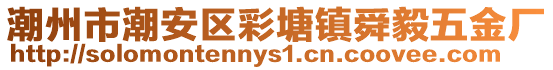 潮州市潮安區(qū)彩塘鎮(zhèn)舜毅五金廠