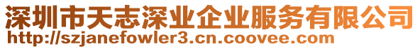 深圳市天志深業企業服務有限公司