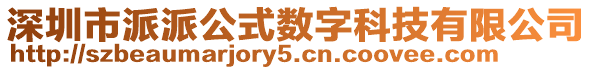 深圳市派派公式數(shù)字科技有限公司