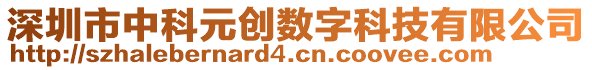 深圳市中科元创数字科技有限公司