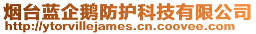 煙臺藍企鵝防護科技有限公司