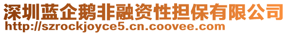 深圳藍(lán)企鵝非融資性擔(dān)保有限公司