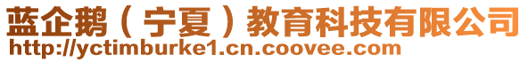 藍(lán)企鵝（寧夏）教育科技有限公司