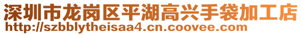 深圳市龙岗区平湖高兴手袋加工店