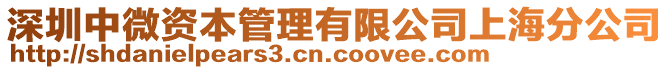 深圳中微資本管理有限公司上海分公司