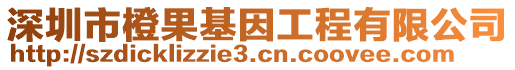 深圳市橙果基因工程有限公司