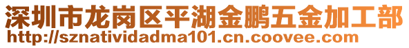 深圳市龍崗區(qū)平湖金鵬五金加工部