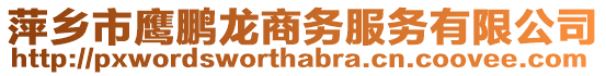 萍鄉(xiāng)市鷹鵬龍商務服務有限公司