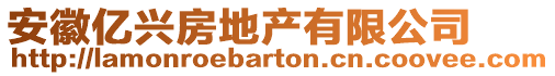 安徽億興房地產(chǎn)有限公司