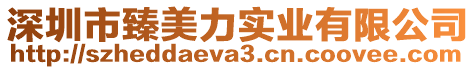 深圳市臻美力實業有限公司