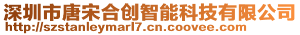 深圳市唐宋合創智能科技有限公司