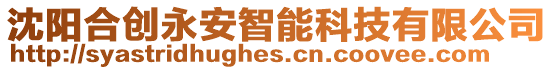 沈陽合創永安智能科技有限公司