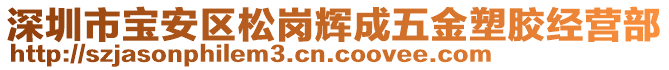 深圳市寶安區松崗輝成五金塑膠經營部
