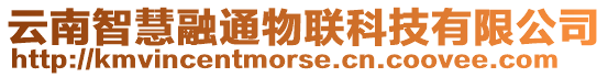 云南智慧融通物聯(lián)科技有限公司