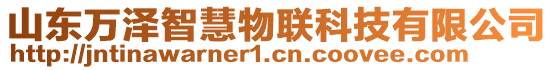 山東萬(wàn)澤智慧物聯(lián)科技有限公司