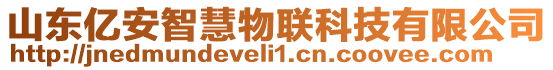 山東億安智慧物聯科技有限公司