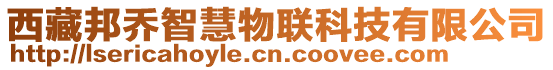 西藏邦喬智慧物聯(lián)科技有限公司