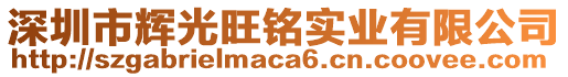 深圳市輝光旺銘實業(yè)有限公司