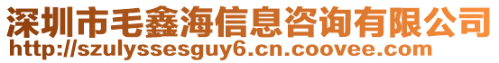 深圳市毛鑫海信息咨詢有限公司