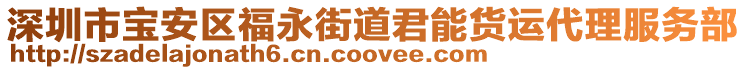 深圳市寶安區福永街道君能貨運代理服務部