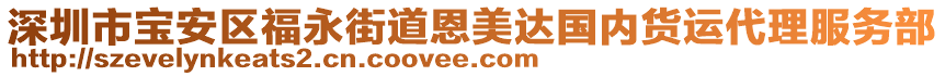 深圳市寶安區(qū)福永街道恩美達(dá)國內(nèi)貨運(yùn)代理服務(wù)部