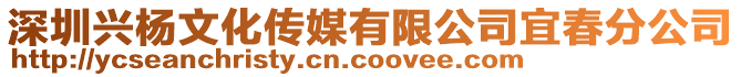 深圳興楊文化傳媒有限公司宜春分公司