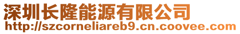 深圳長隆能源有限公司