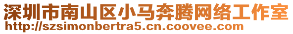 深圳市南山區小馬奔騰網絡工作室