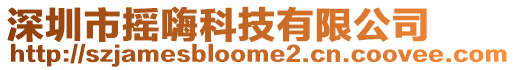 深圳市搖嗨科技有限公司