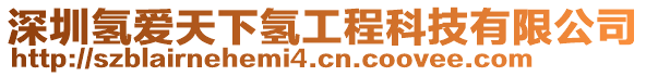 深圳氫愛天下氫工程科技有限公司