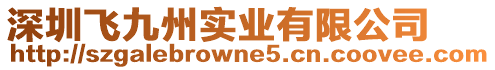 深圳飛九州實業有限公司