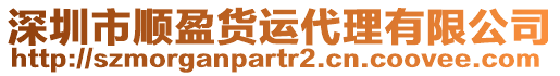 深圳市順盈貨運代理有限公司