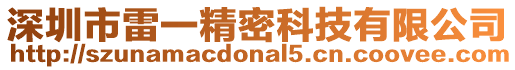 深圳市雷一精密科技有限公司