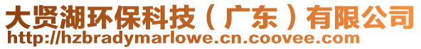 大賢湖環(huán)保科技（廣東）有限公司