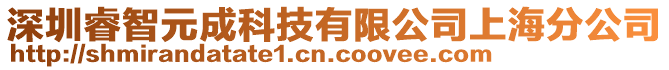 深圳睿智元成科技有限公司上海分公司