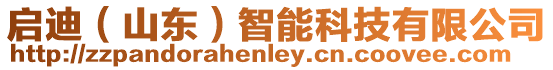 啟迪（山東）智能科技有限公司