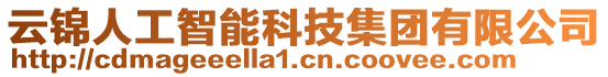 云錦人工智能科技集團(tuán)有限公司