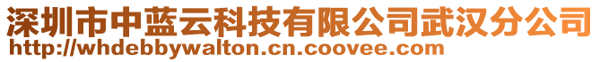 深圳市中藍云科技有限公司武漢分公司