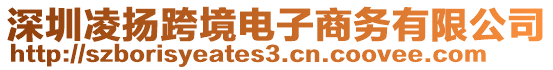 深圳凌揚(yáng)跨境電子商務(wù)有限公司