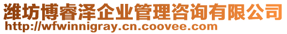 濰坊博睿澤企業(yè)管理咨詢有限公司