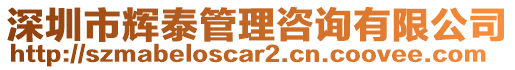 深圳市輝泰管理咨詢有限公司