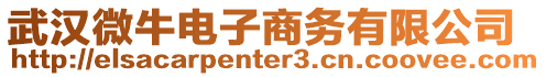 武漢微牛電子商務有限公司