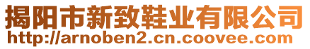 揭陽(yáng)市新致鞋業(yè)有限公司