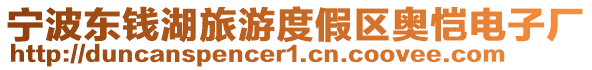 寧波東錢(qián)湖旅游度假區(qū)奧愷電子廠(chǎng)