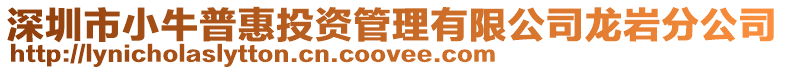 深圳市小牛普惠投資管理有限公司龍巖分公司